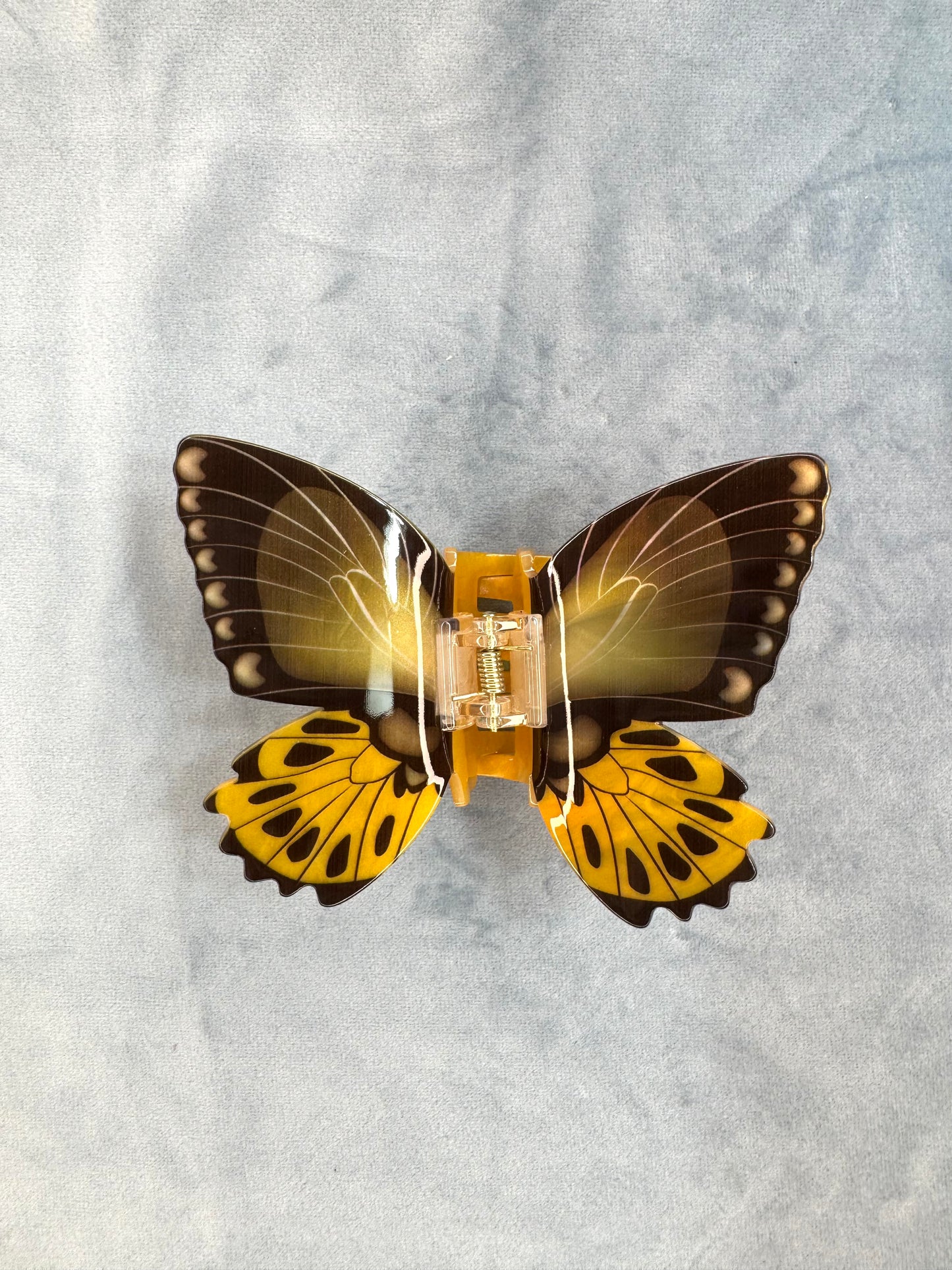Butterfly and Moth Clips