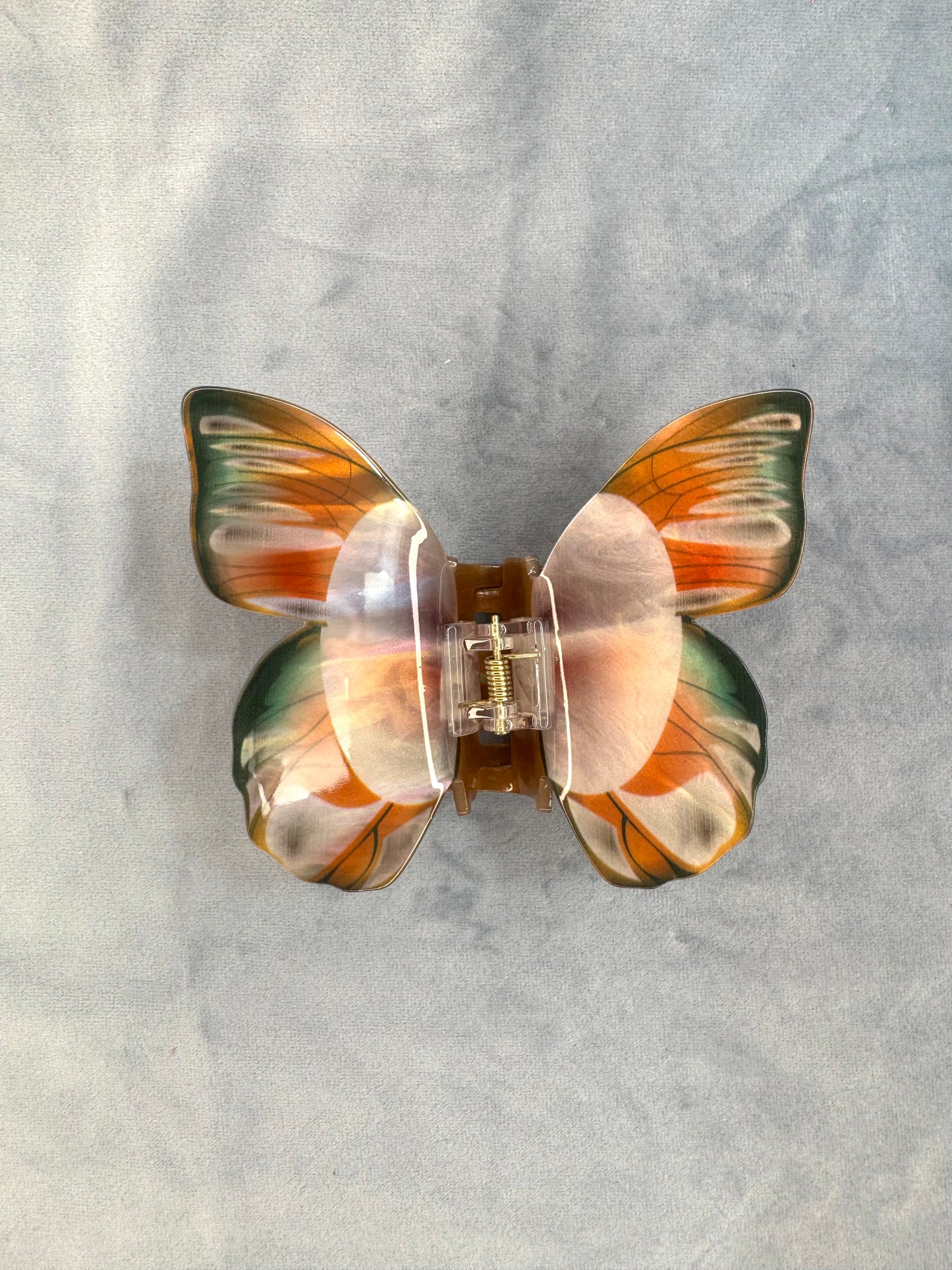 Butterfly and Moth Clips