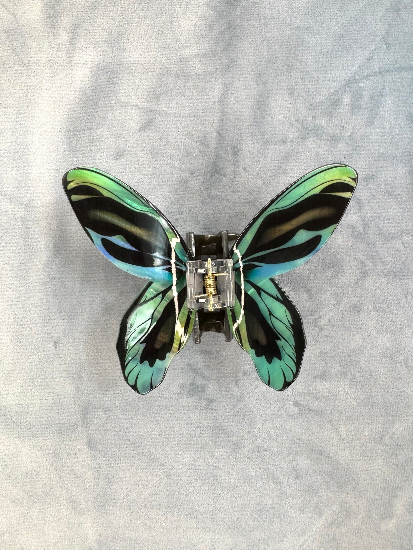 Butterfly and Moth Clips