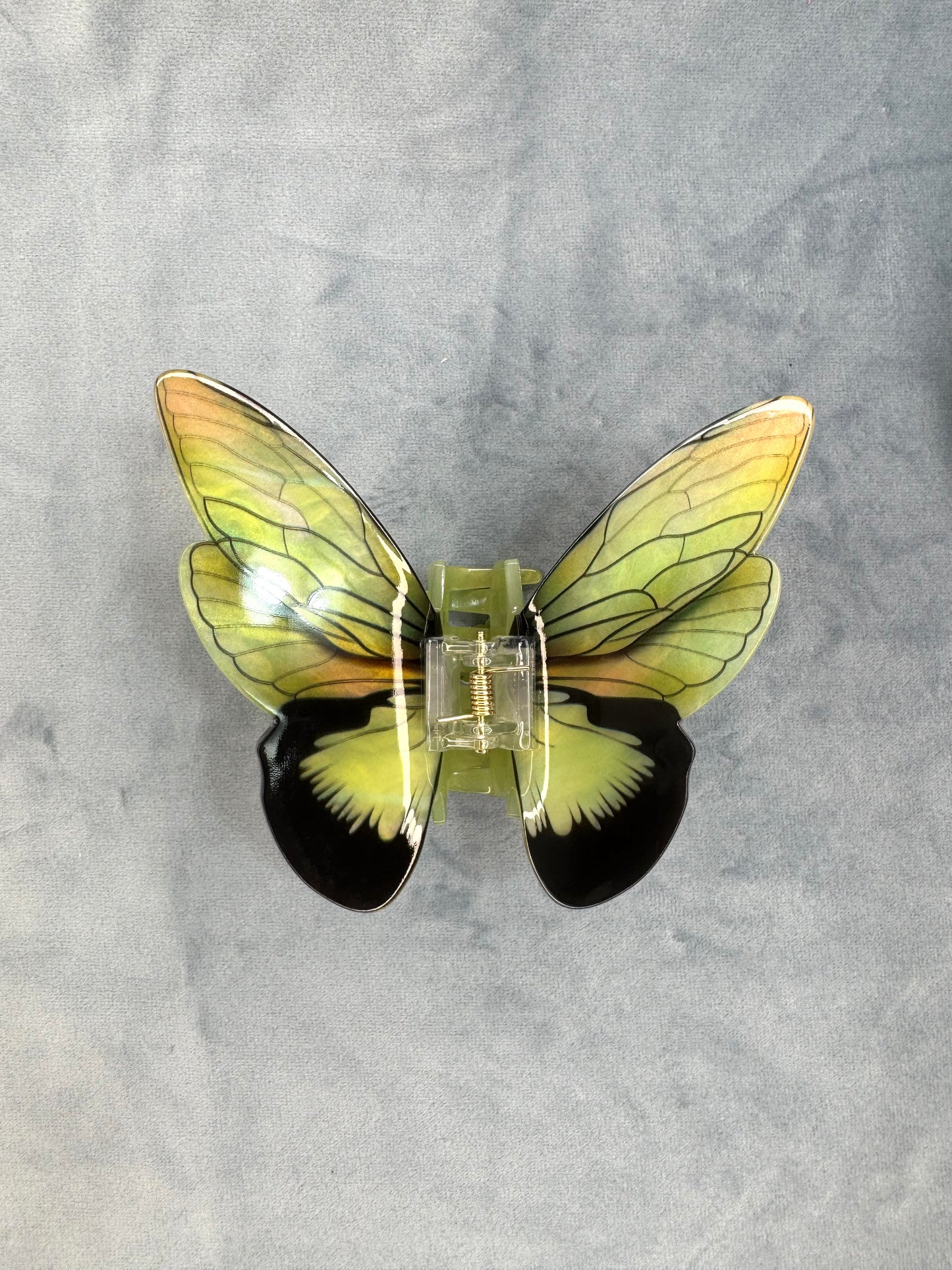 Butterfly and Moth Clips