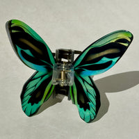 Butterfly and Moth Clips