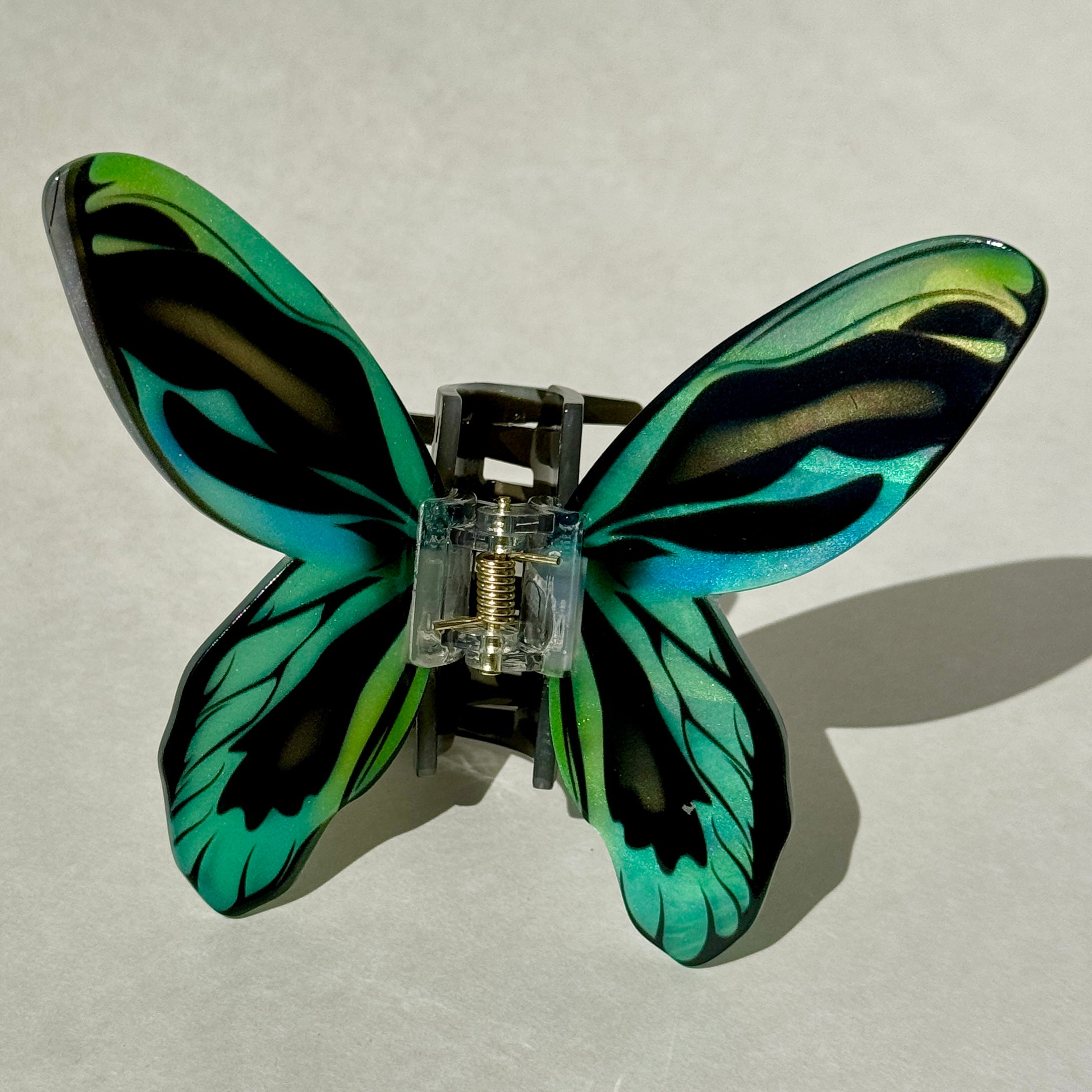 Butterfly and Moth Clips