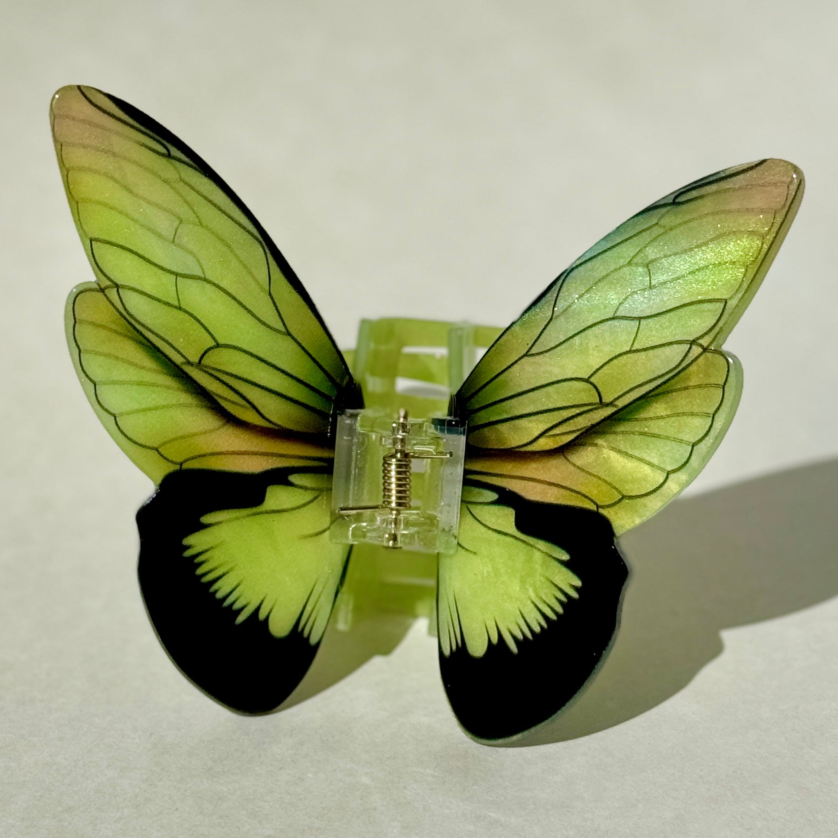 Butterfly and Moth Clips