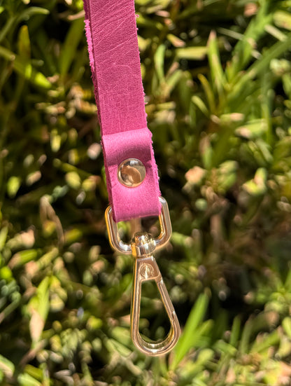 Phone Minder Clip