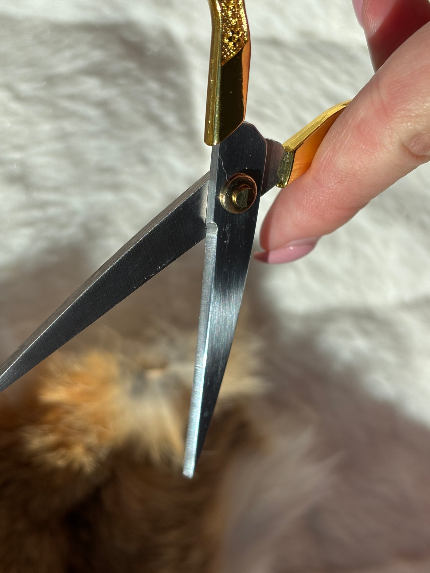 Gold Thread Scissors