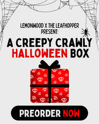 Creepy Crawly Halloween Box *PREORDER*