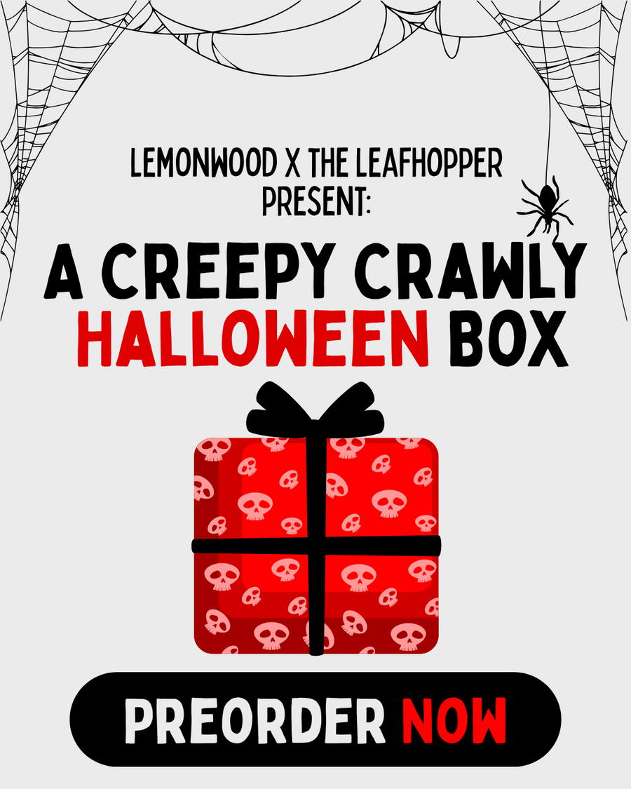 Creepy Crawly Halloween Box *PREORDER*