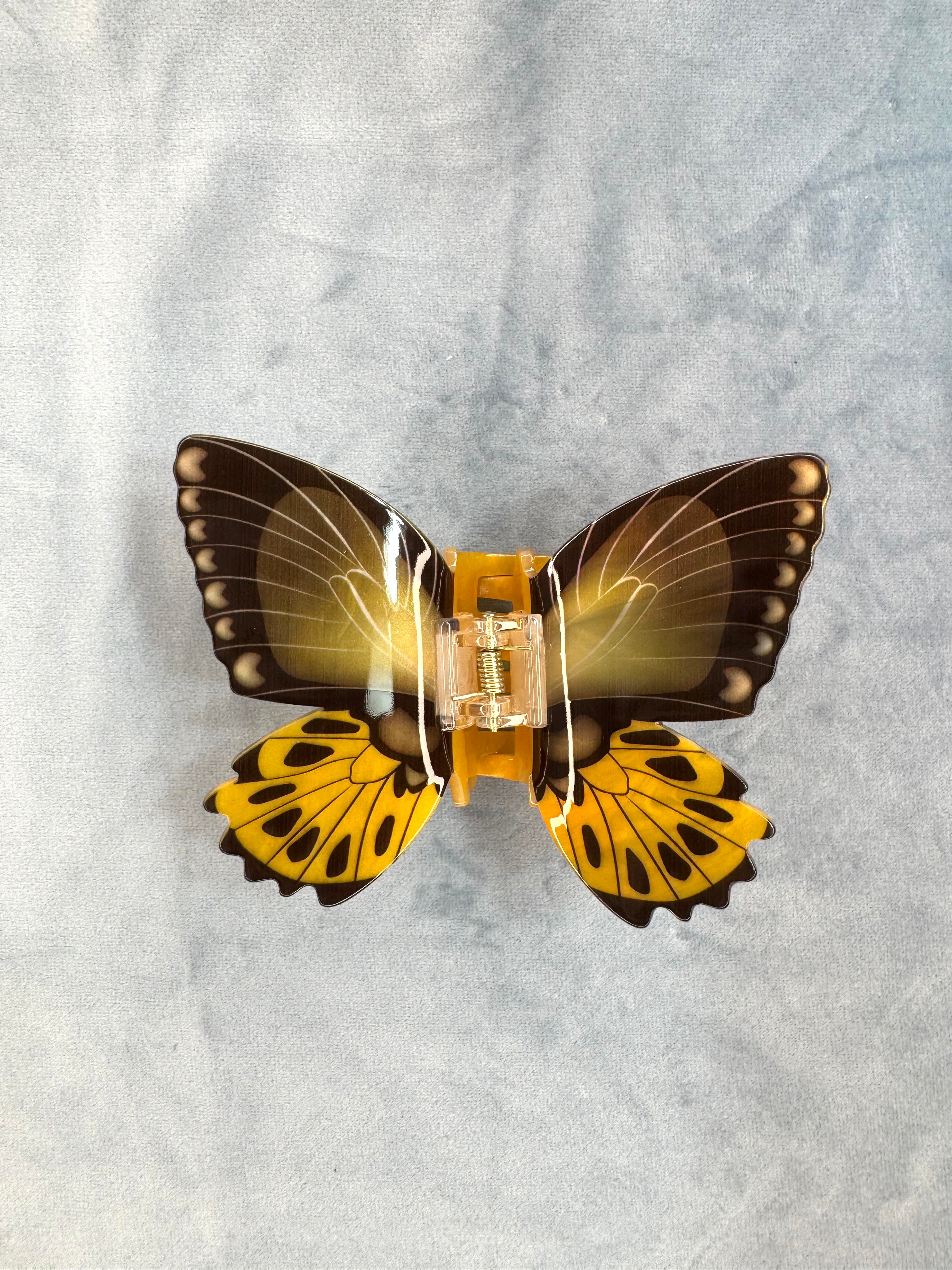 Butterfly and Moth Clips